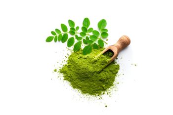 Dried Moringa - Evergain - Egypt