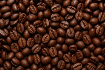 Robusta coffee beans – product photo, Instant Coffee Drink products found from trusted suppliers, wholesalers, manufacturers & exporters Listing