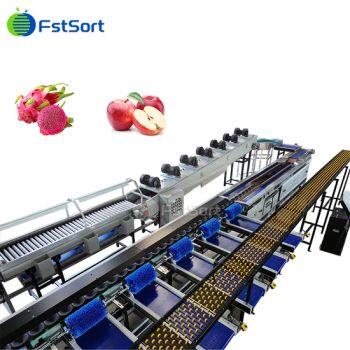 Commercial Fruit Processing Machinery, Fruit Vegetable Cleaning Machine, Citrus Washing Drying Sorting Equipment - Zhengzhou First Industry Co., Ltd. - China