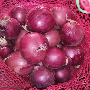 Fresh Red Onions Fiber 2-3% Sugar 5-8% Origin Global Moisture 85-90% Type Allium Cepa Acidity 0.5-1.5% Grade B - Iai holding as - Denmark