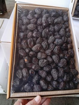 Premium Ajwa Dates Flavor Rich Size Large (22mm+) Texture Soft And Dry Nutritional Value High Moisture Content < 15% Cif Price Usd 1,750 Per - BF GLOBAL TRADING (PTY) LTD - South Africa