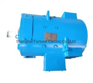 Zzj-810 806 810 812 814 DC Motors for Rolling Mill, Crane, Excavator - Shanghai Fortune Electric Co., Ltd. - China