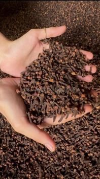 Cloves Grade AB6 Shelf Life 1-1.5 years Packaging 50KG PP Bags Max. Moisture (%) 12-14 Drying Process Sun-dried Color Brownish/Dark - YUKI HARVEX INDONESIA - Indonesia