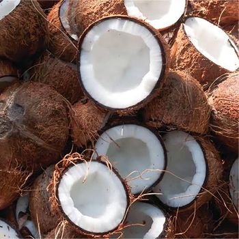 Husked Coconut - Lawana and Sons Supplies - South Africa