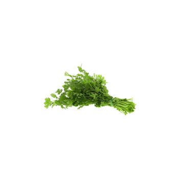 Excellent Quality Fresh Raw Organic Natural Coriander Seeds for Immunity Support Nutritional Products Worldwide Supply Available Excellent Quality Fresh Raw Organic Natural Coriander Seeds for Immunity Support Nutritional Products Worldwide Supply Available - GLOBOTO TRADE BRASIL LTDA - Brazil