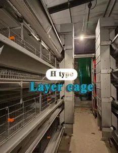 Innovative Automatic Chicken Farm Tools with High-Accuracy Performance - Raisetech Co., Ltd. - China