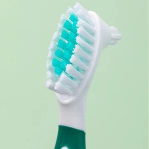 Dental Denture Care Tools Portable Travel False Teeth Cleaner Brush - Foshan SCS Medical Instrument Co., Ltd. - China