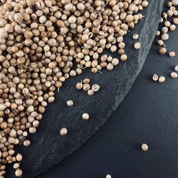 Coriander seeds - NOVAAGRO - Ukraine