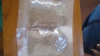 Green Uganda coffee and cocoa – product photo, Green Coffee Extract products found from trusted suppliers, wholesalers, manufacturers & exporters Listing