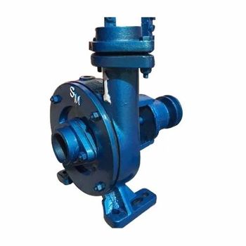 Marine Sea Water Pumps Working Life Long Pumping Efficiency High Installation Method Easy To - Shree Manufactures - India