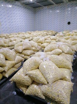 China IQF Frozen Peeled Chestnut Kernels Premium Grade Blanched Frozen Chestnuts for Bakery and Food Processing FDA certified - SinoValley Agro Group Co., Ltd. - China