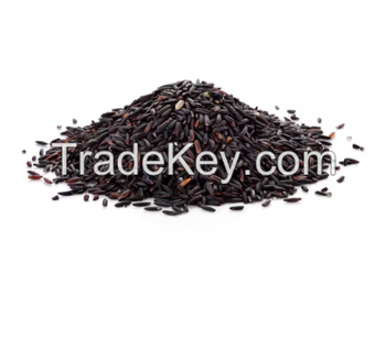 Premium Organic Black Rice – Natural Whole Grain Superfood from TRADE NEPAL LLC Premium Organic Black Rice – Natural Whole Grain Superfood - TRADE NEPAL LLC - United States