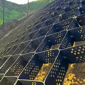 Cellular Confinement System Gravel Stabilizer HDPE Geocell for Slope Protection Honeycomb Grid Concrete Grass Pavers - Anhui Zhonglu Engineering Materials Co., Ltd. - China