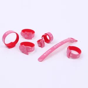 Good Quality and Low Price Back to Back Hook and Loop Tapes Stock Stock MOQ Low MOQ Samples Free Origin China Element - Hangzhou Xinyang Ribbon Co., Ltd. - China