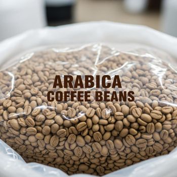 Premium Arabica Coffee Bean Wholesale Supply Fresh Coffee Bean For Global Roasters Bulk Beverage Industry And Large Scale Buyers - THE GREEN INTERNATIONAL LIMITED - Tanzania