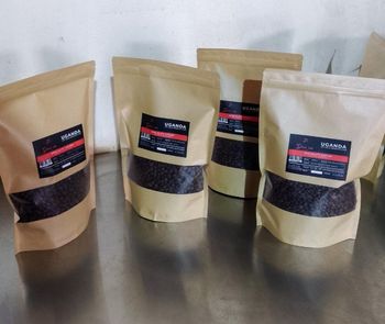 Dose 256coffee u Ltd