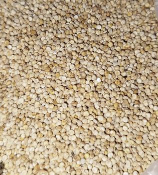Raw Quinoa Quinoa Grains Quinoa seeds Unpeeled Quinoa Unwashed Quinoa from Haseeb & Sons Raw Quinoa Quinoa Grains Quinoa seeds Unpeeled Quinoa Unwashed Quinoa - Haseeb & Sons - Pakistan