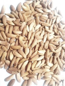 Almond kernel logary - Ahmad Zai Yasser LTD - Afghanistan