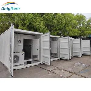 Cold Storage Walk in Cooler Vegetables Meat Container Cold Room Storage - ONLYKEM (JINAN) TECHNOLOGY CO., LTD. - China