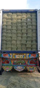 1121 basmati rice from fortune agro and company 1121 basmati rice - fortune agro and company - Pakistan