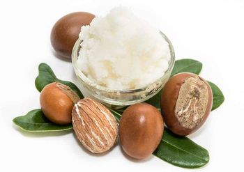 Shea Butter, Cashew oil ,Cassava - Kaneiye International Limited - Malaysia