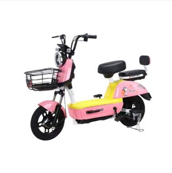 Wholesale 500W High Power Motor Electric City Bike Origin China Trademark no Wattage >500W Wheel Size 14" Folded - Xingtai Pinda Vehicle Industry Co., Ltd. - China