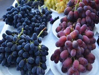 grapes fresh Type fresh Packaging Details box Manufacturer uzbekistan Origin Other, Uzbekistan Packaging Paper Box, Plastic Box, box. plastic box - Freeze Dried Fruit LTD - Uzbekistan