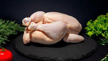 High Quality Whole Chicken Origin Slovenia/Ukraine,SLO weight option:1000g/1100g/1200g/1300g/1500g, UA:1100/1200G/1300g - MP3LAB D.O.O. - Beef4you - Slovenia