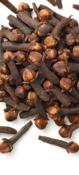 Cloves - SUPER PLASTIC - India