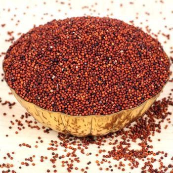 Natural finger millet wholesale bulk order clean grains reliable shipment - HIGHPROFILE AGRICULTURE SERVICES LIMITED - Tanzania
