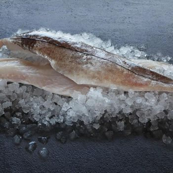 Premium IQF Frozen Plaice Fish Whole Fillet Flatfish for Retail Foodservice and Export - PILOTEXPORT IMPORT AND EXPORT LTD - South Africa