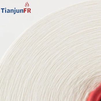 High Flame Retardant Function Protex Blended Nylon Yarn for Firefighter Clothing Fabric - Zhangjiagang Tianjun Trade Co., Ltd. - China