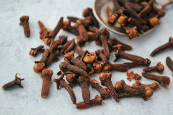 Dried Raw Cloves for Food and Beverage 25kg Pack - AGRONOVA - United States