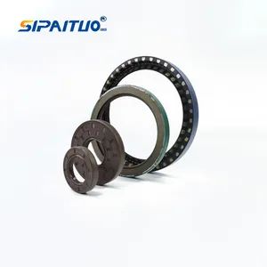 Rotary Shaft Mechanical Metric NBR Seals Skeleton Mechanical Seal Dust Proof Oil Seal - Hebei SPT Seals Technology Co., Ltd. - China
