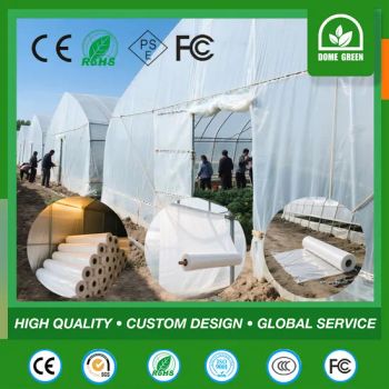 Wide Width Agricultural Plastic Film for Tunnel & Multi-Span Greenhouse - Weifang Naisen Equipment Technology Co., Ltd - China