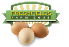 Product – product photo, Farm Eggs products found from trusted suppliers, wholesalers, manufacturers & exporters Listing