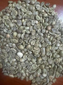 Green Coffee Beans from StarlinesCo Green Coffee Beans - StarlinesCo - Turkey