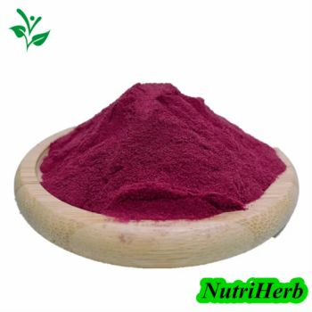 Top Food Grade Water Soluble for Beverge Baking Bilberry Fruit Flavor Juice Extract Powder - Nanjing NutriHerb BioTech Co., Ltd. - China
