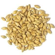 Wheat Feed - BF GLOBAL TRADING (PTY) LTD - South Africa