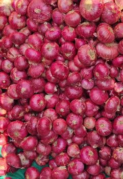 Red Onion - Tirisul Impex - India