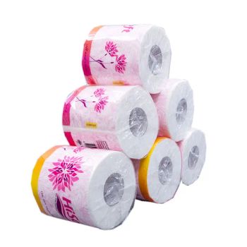 Custom Size Logo Printed Toilet Paper Rolls for Bulk Purchase - Jiangsu Hewbonn Paper Industrial Co., Ltd. - China