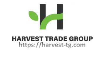 Product from Treading Experts Malaga S.L. MEMBER OF HARVEST TRADE GROUP Product - Treading Experts Malaga S.L. MEMBER OF HARVEST TRADE GROUP - Netherlands