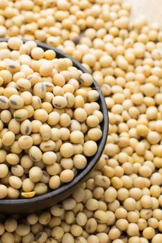 Non-GMO Soybeans
