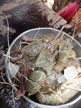 aquarium fish,live and frozen crab, shrimp, prawn,lobster,calamis,fish - Grace Global Network Limited - Nigeria