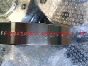 254 Smo Flange/ S 31254 Flange/Smo 254 Flange/Pipe/Elbow - Tianjin Elegant Technology Co., Ltd. - China
