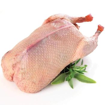Farm Fresh Frozen Whole Duck Excellent Taste Wholesale Price For Hotels Restaurants Catering And Family Kitchen Needs - CPW TRADE LTD - United Kingdom
