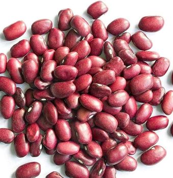 Speckled Kidney Beans, Red Kidney Beans For Export - HELBER AGRO PRODUCT COMPANY LTD - Kenya