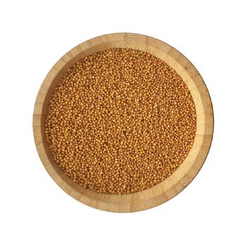 High grade mustard seeds available in bulk for wholesale supply and export - MASI TRADING GMBH - Germany