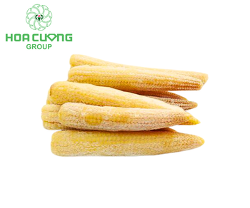 IQF Frozen Baby Corn Place of Origin Viet - HOA CUONG AGRICULTURAL JSC  - Vietnam