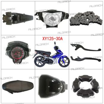 Hot Sale Xy125-30A Motorcycle Engine Parts Motorcycle Parts Motorcycle OEM Quality - Aldrich Motorcycle Spare Parts & Accessories Co., Ltd. - China